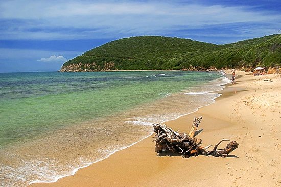 Golfo di Baratti (Livorno) – Appartamenti Manuela Attività in Toscana