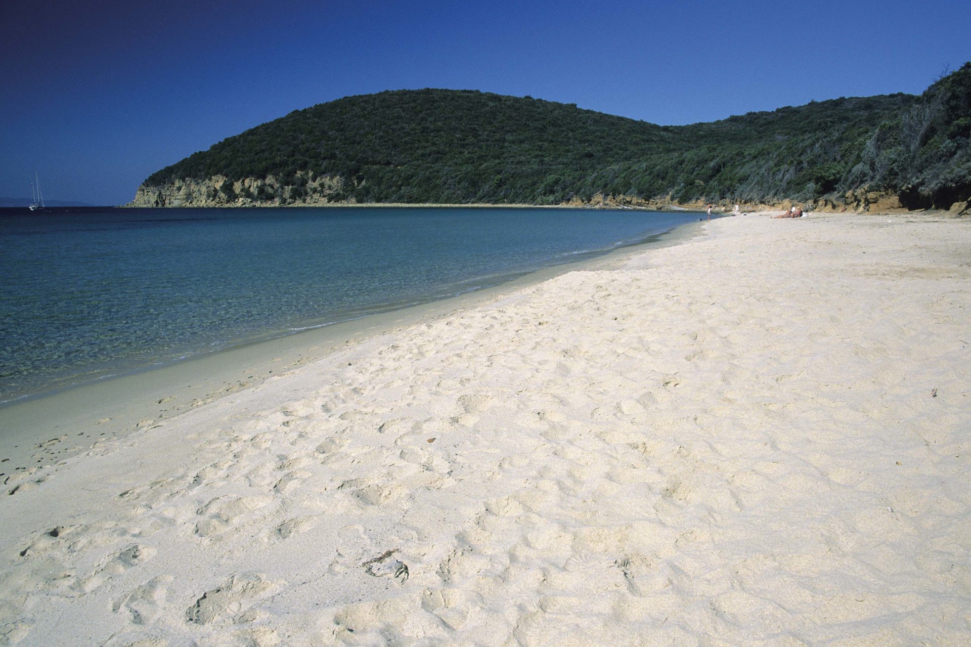 Cala Violina (Scarlino) Grosseto - Appartamenti Manuela Attività in Toscana